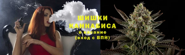 ПСИЛОЦИБИНОВЫЕ ГРИБЫ Алексеевка