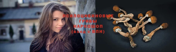 ПСИЛОЦИБИНОВЫЕ ГРИБЫ Алексеевка