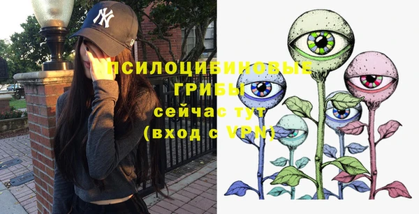 ПСИЛОЦИБИНОВЫЕ ГРИБЫ Алексеевка