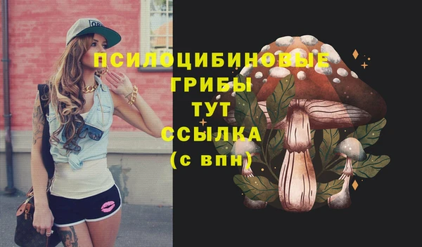 ALPHA PVP Алексин