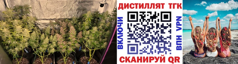 Дистиллят ТГК гашишное масло  хочу   Красноуральск 