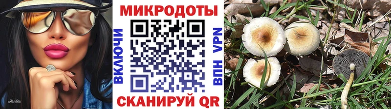 купить наркоту  Красноуральск  Псилоцибиновые грибы ЛСД 